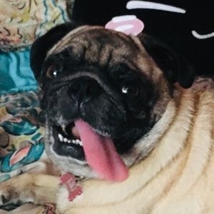 Meet your Posher, Katherine